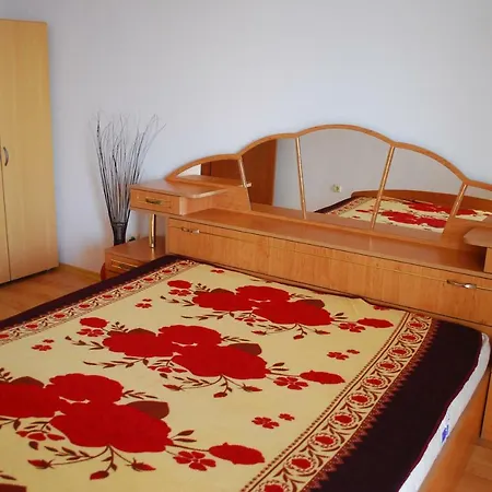 Mercury One Bedroom Center Family Apartment *